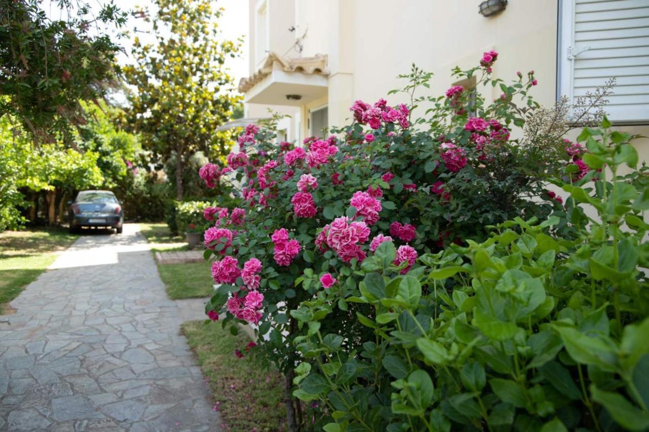 Palaiohora Avias Apartments 外观 照片