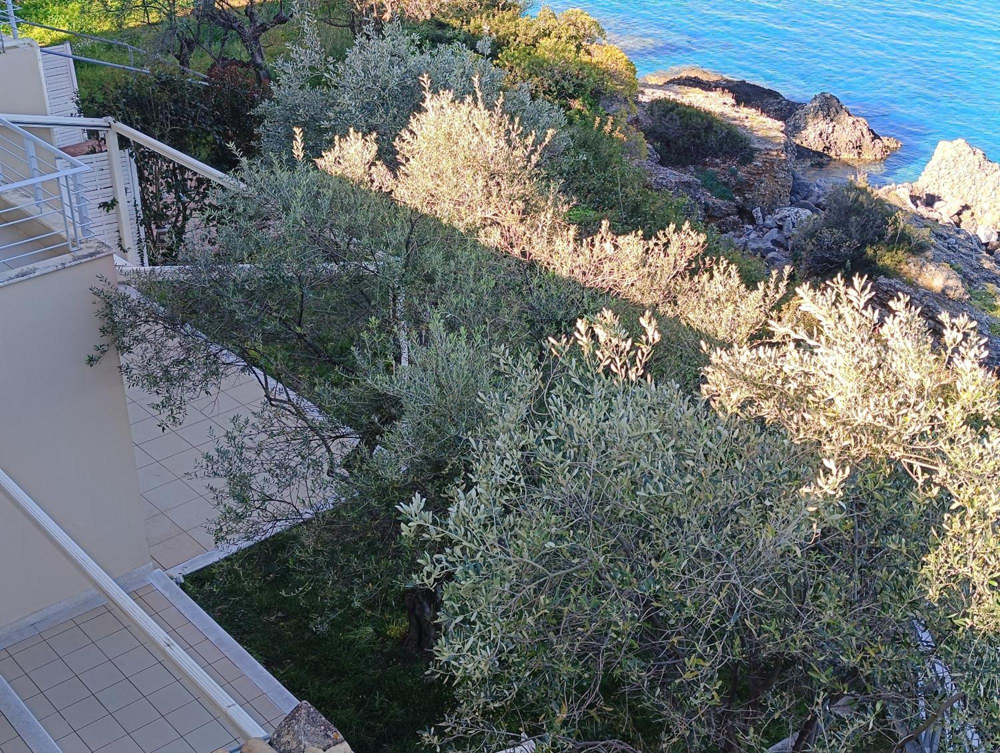 Palaiohora Avias Apartments 外观 照片